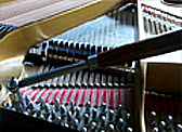 Tony Pacini: piano tuner / technician Tony Pacini piano tuning